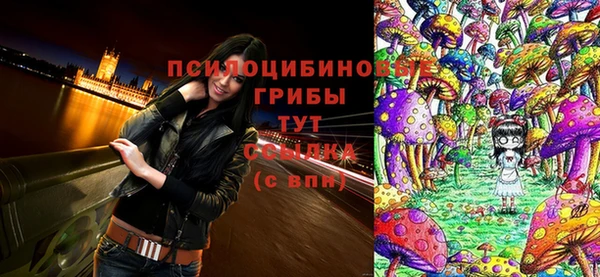 a pvp Киренск