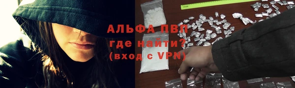 амф Касимов